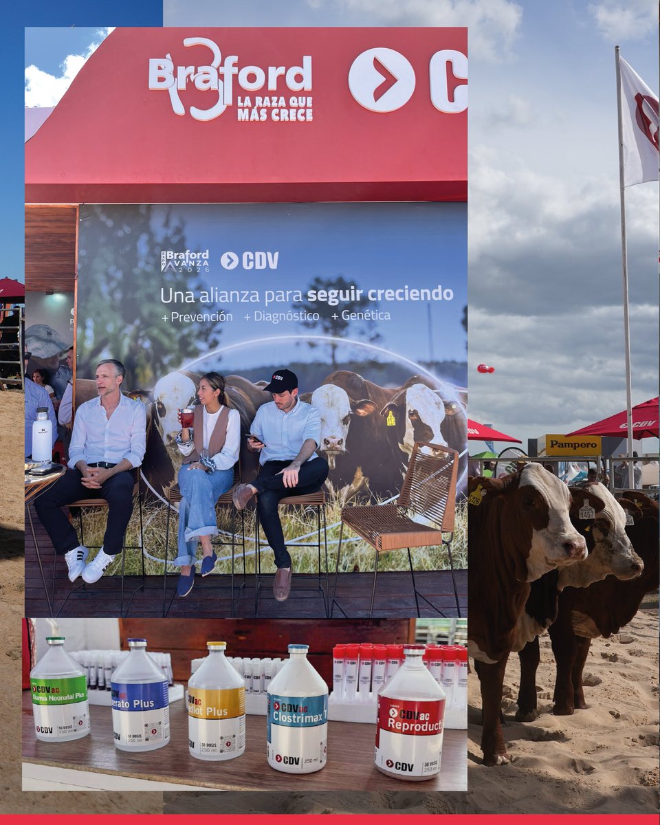 Laboratorio CDV tweet media