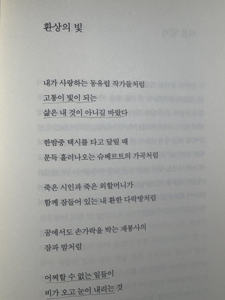 젤리곰 tweet media