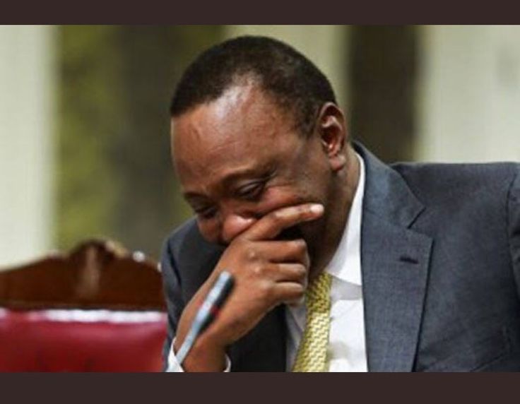 Son Of A Stag tweet media