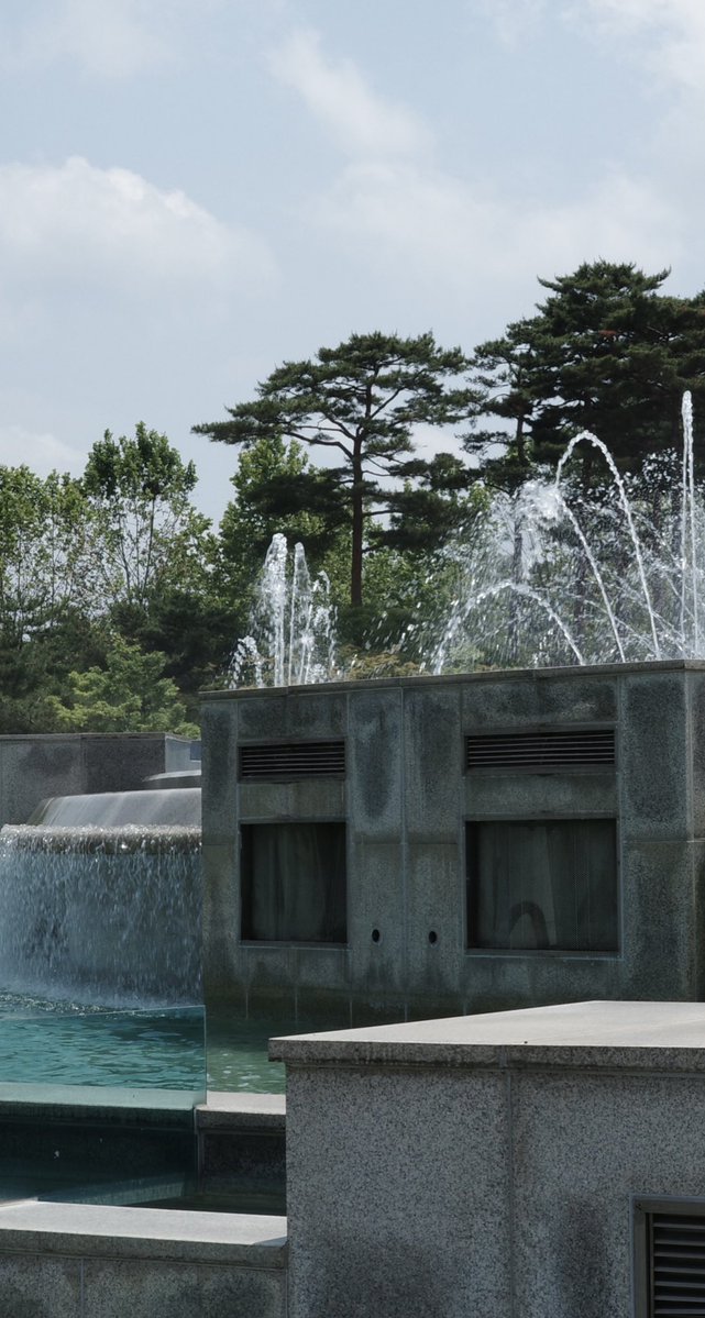 녹색개물 tweet media