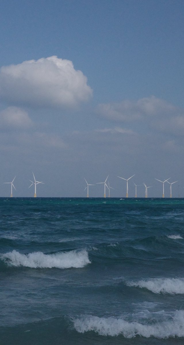 녹색개물 tweet media