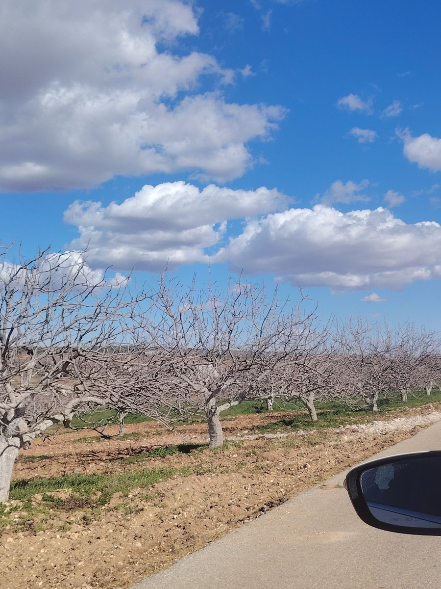 R♡⁩⁩ tweet media