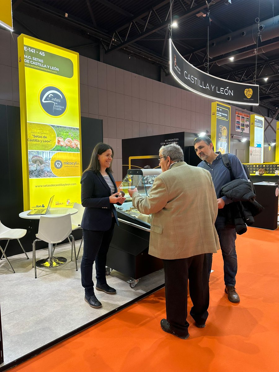 MG Setas de CyL tweet media