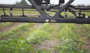 UA System Div of Ag tweet media