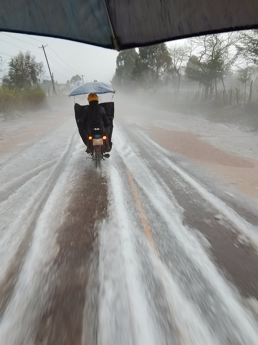 𝕃𝔼 𝔾𝕌𝕊𝕋𝔸𝕍𝕆 tweet media