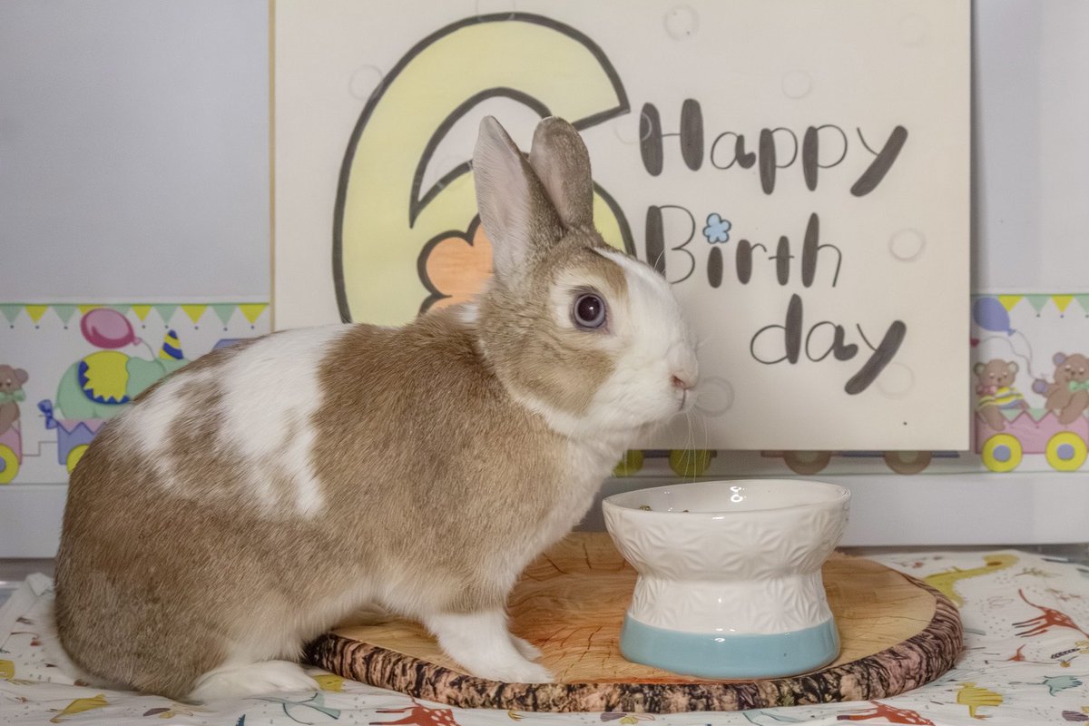 あやか tweet media