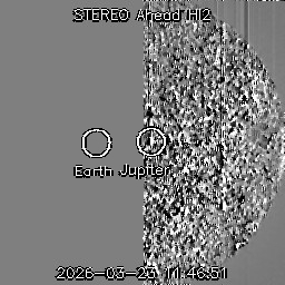 Stream Martial tweet media