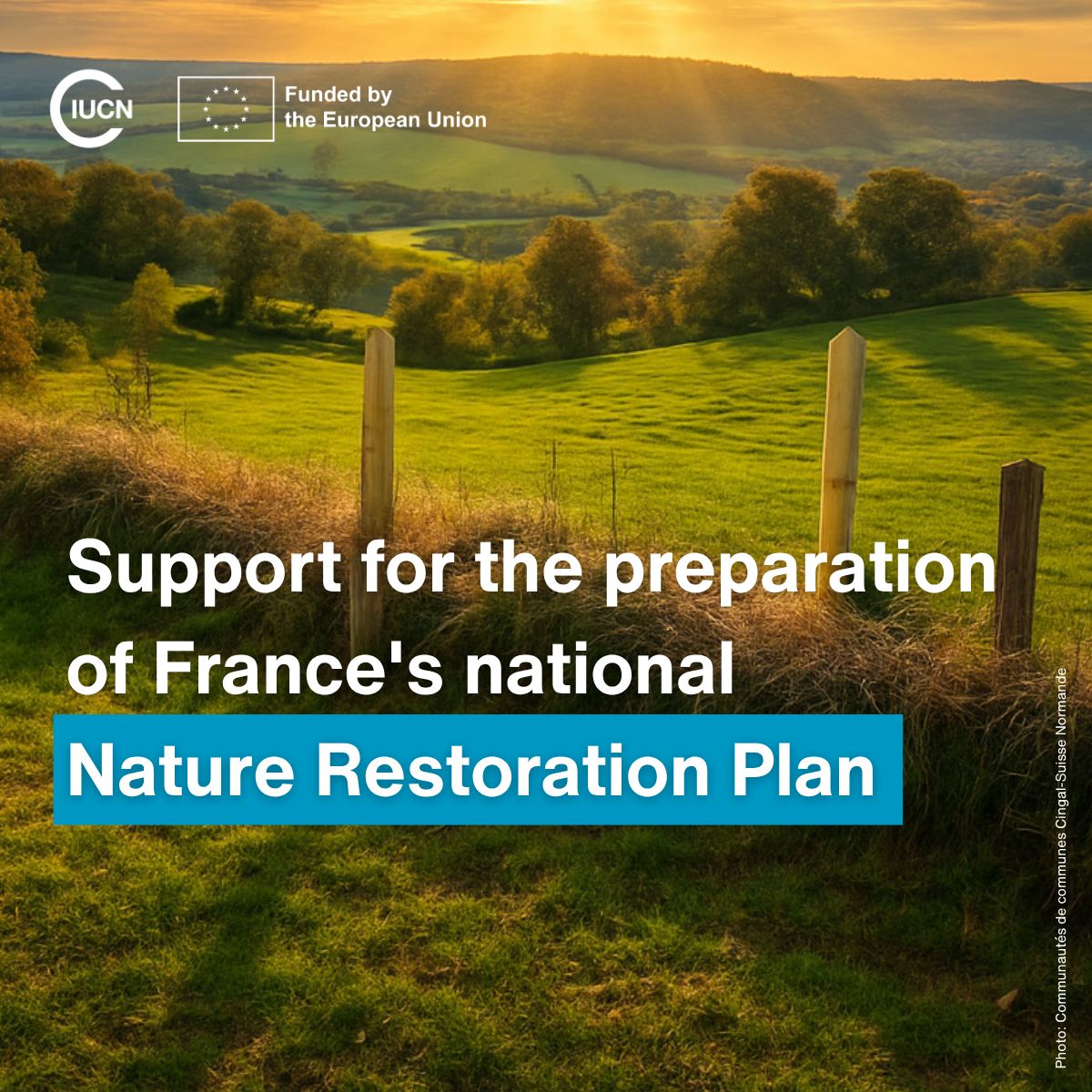 IUCNEurope's tweet photo. EU countries must submit national Nature Restoration Plans to @EU_Commission by Sept 2026. 

#France is drafting its plan with support from the EU's Technical Support Instrument. 

Key findings from the IUCN-led project are now available: https://t.co/gj8s0BPpvI https://t.co/mEnCCldpBU