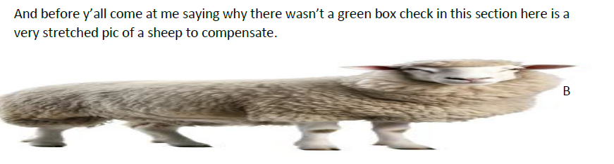 Lachlan 🌴🔜 Ibercon tweet media