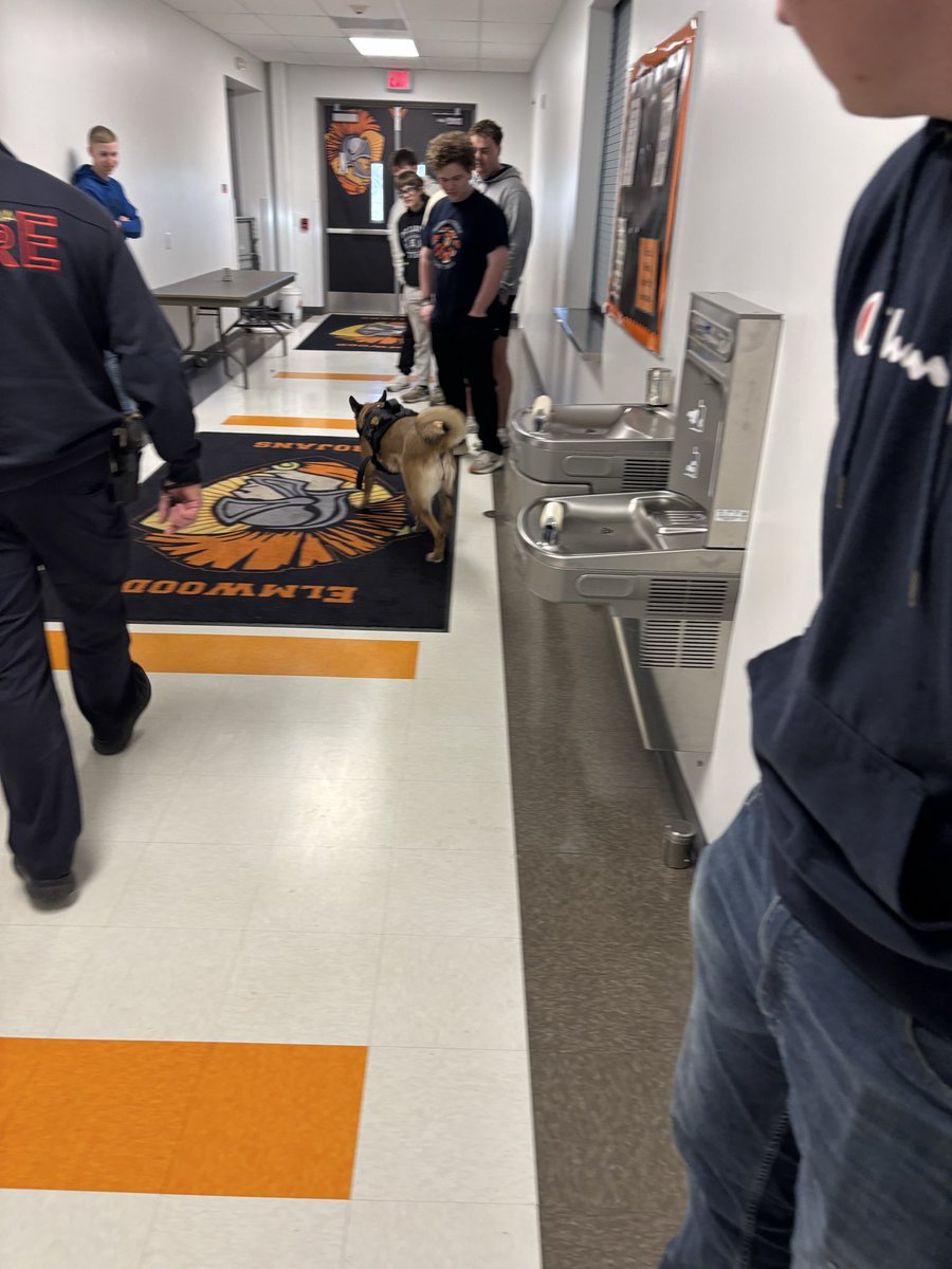 TrojansScience's tweet photo. City of Peoria Fire Captain Harris and his partner Molly visited today to talk about the chemistry of fire, fire and arson investigation, and fire safety. While Capt. Harris is great, Molly certainly stole the show. Dogs have 300 MILLION olfactory receptors, we have million. https://t.co/jUo18C5wZw