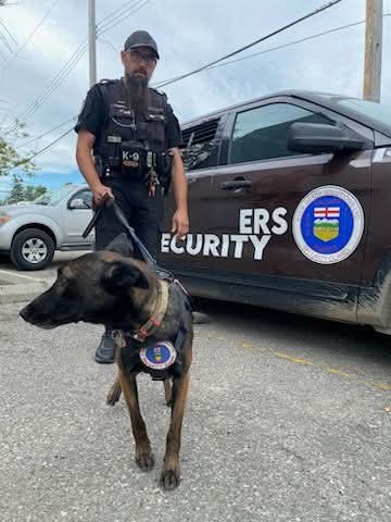 𝟏𝟐 𝐂𝐨𝐦𝐦𝐮𝐧𝐢𝐭𝐲 𝐒𝐚𝐟𝐞𝐭𝐲 tweet media