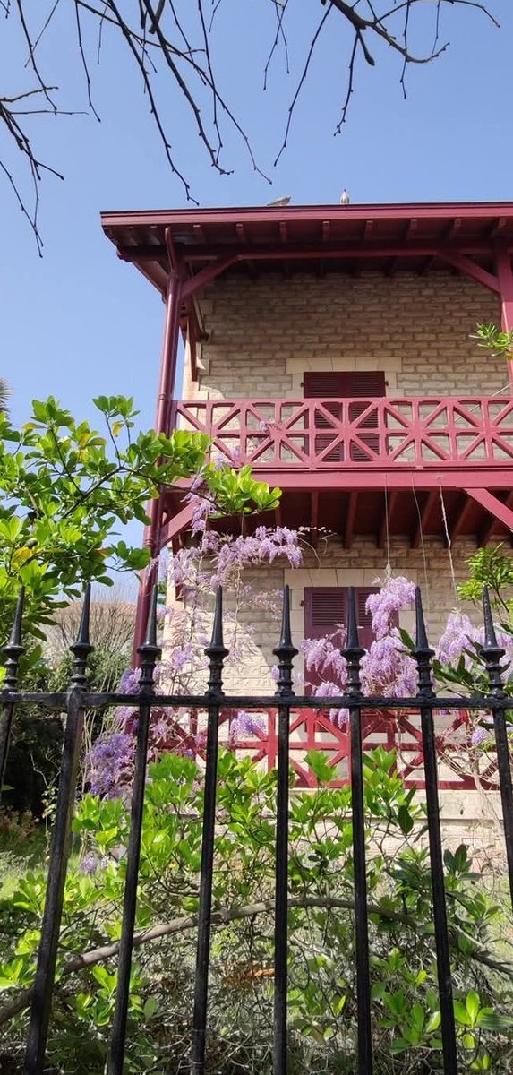 Catharbo tweet media