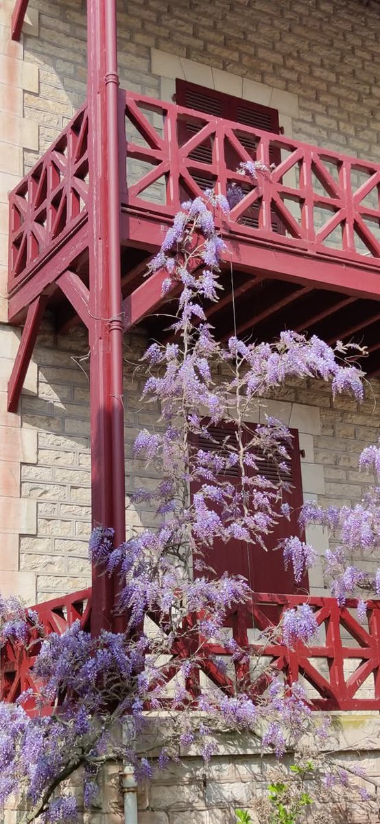 Catharbo tweet media