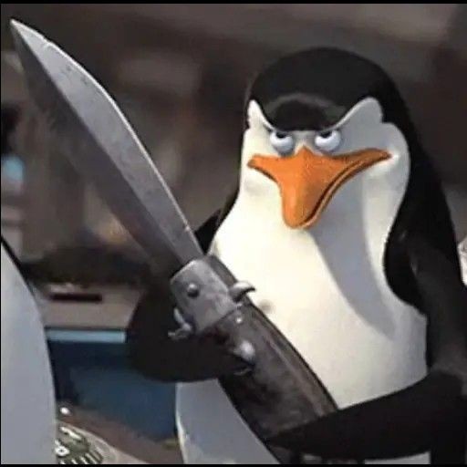 Evernight'nt tweet media