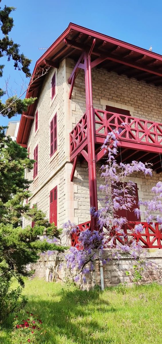 Catharbo tweet media