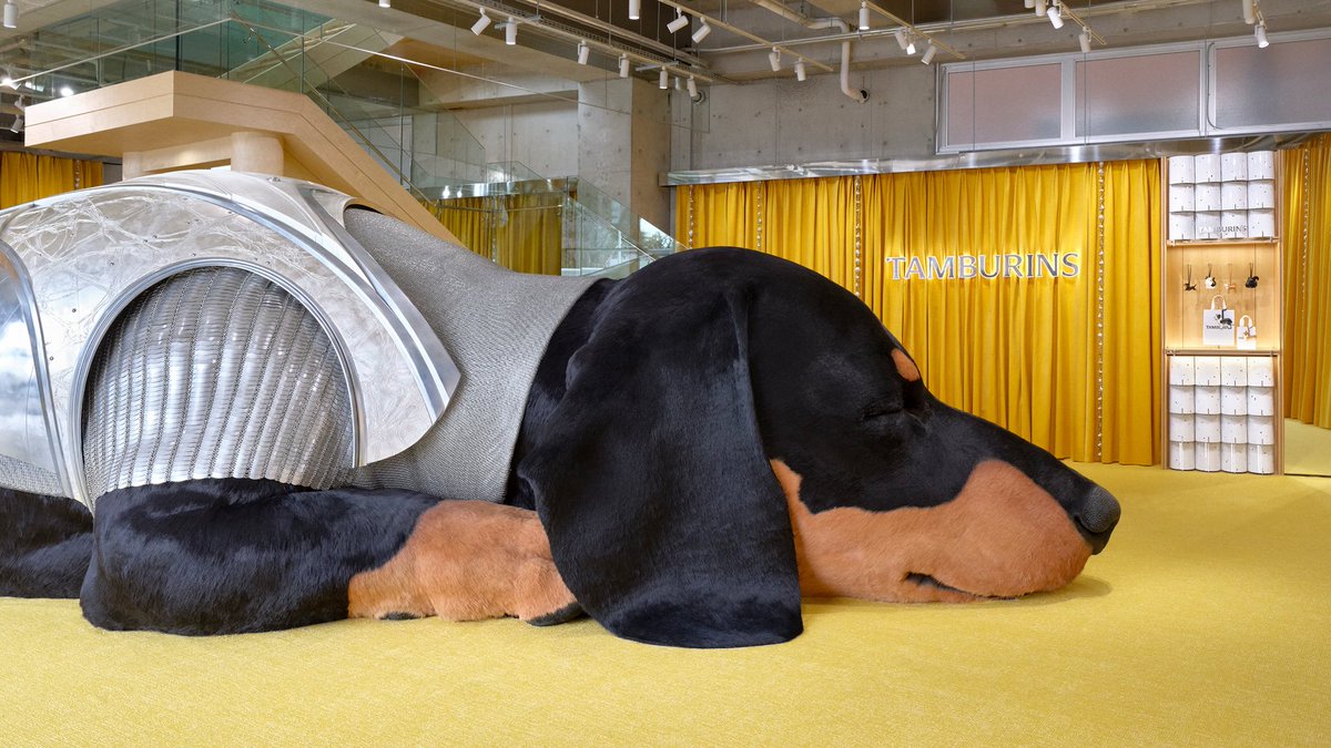 ぱちゃも tweet media