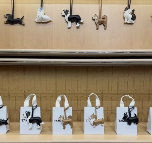 ぱちゃも tweet media