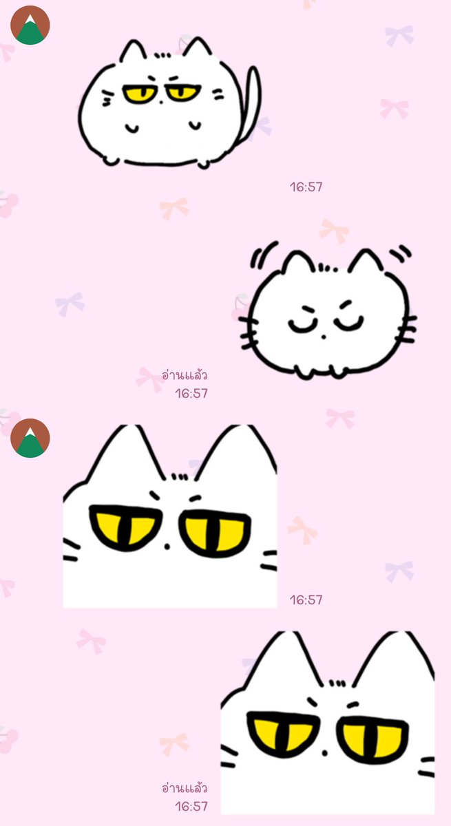นต.˚ ༘♡ ⋆。˚ 🩷 tweet media