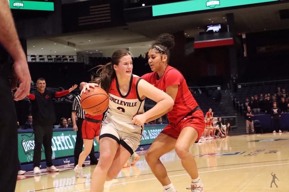 Traffic Light Sports tweet media