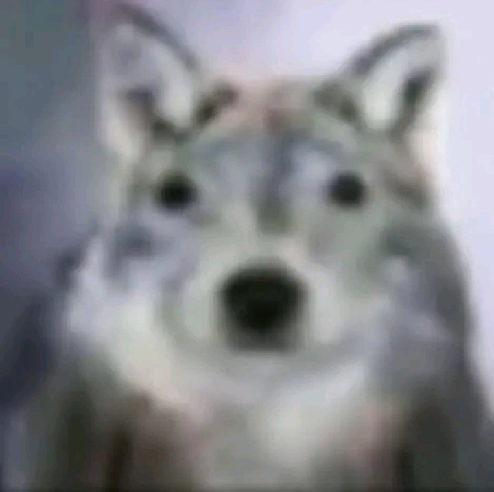 Adrixon GV (Adrian Valencia) tweet media