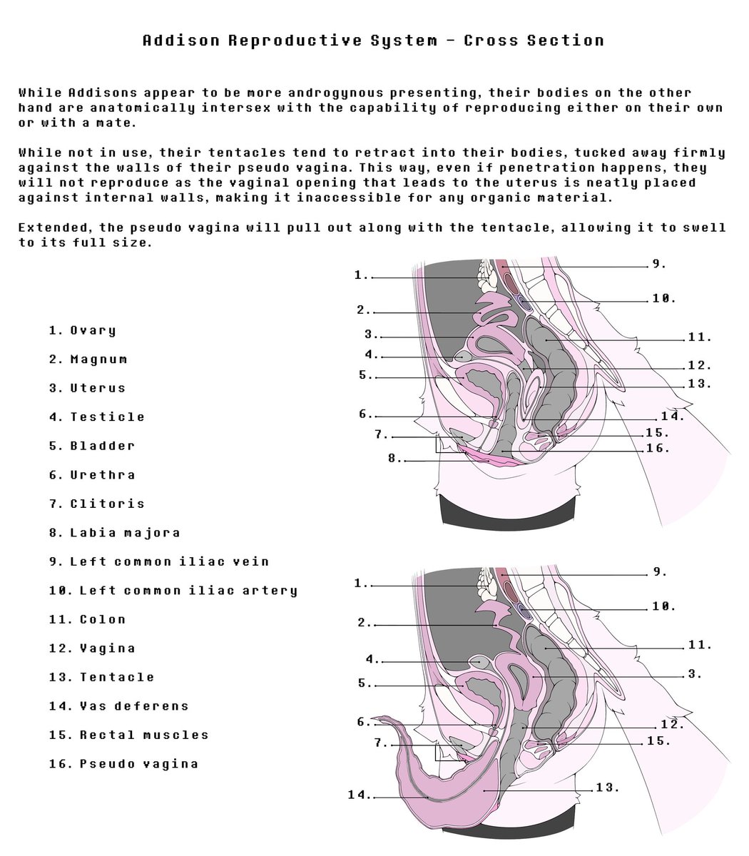 Spamnon 🔞 tweet media