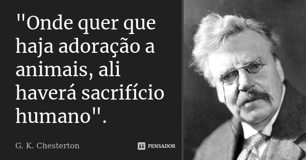 fabio rocha tweet media