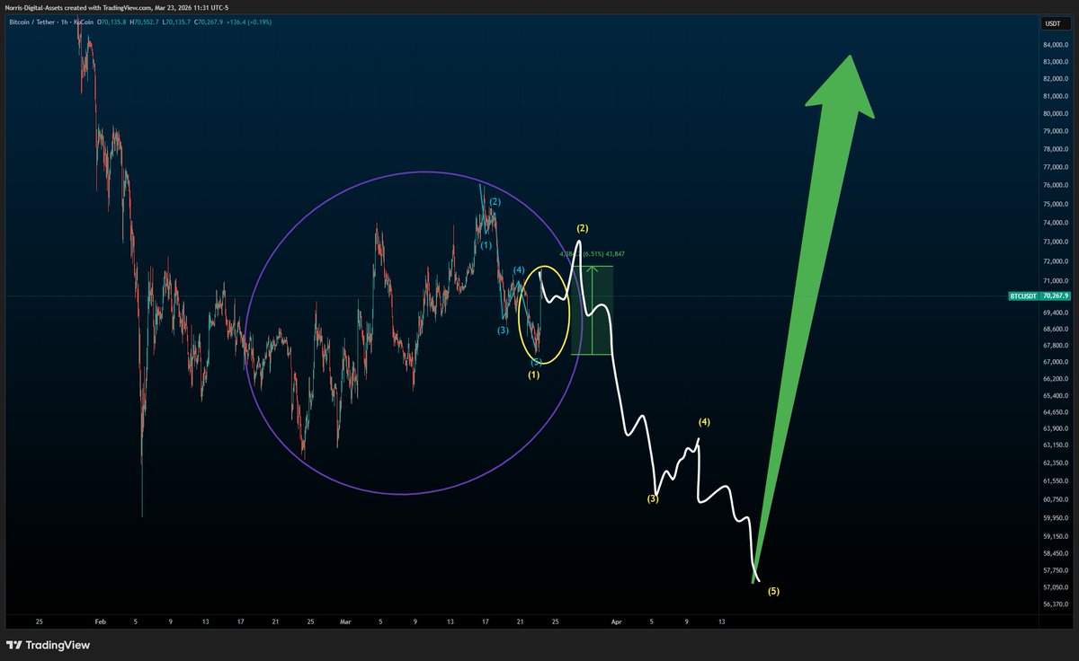 Norris Digital Assets ⚡️ tweet media