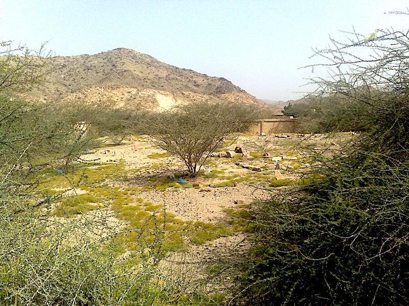 Muslim Landmarks Explored tweet media