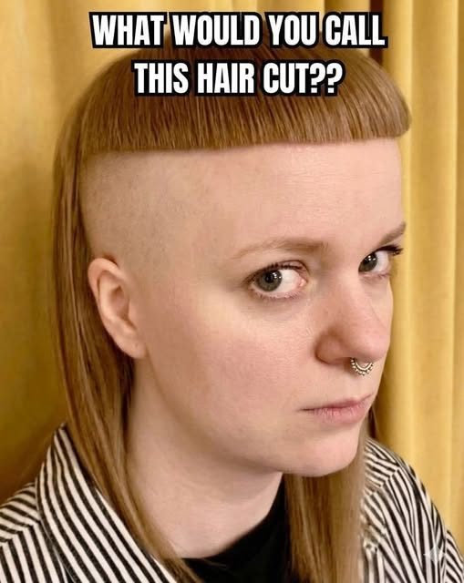 Scott Cheggs tweet media