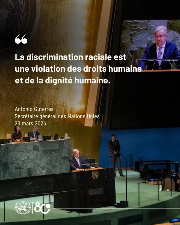 Nations Unies (ONU) tweet media