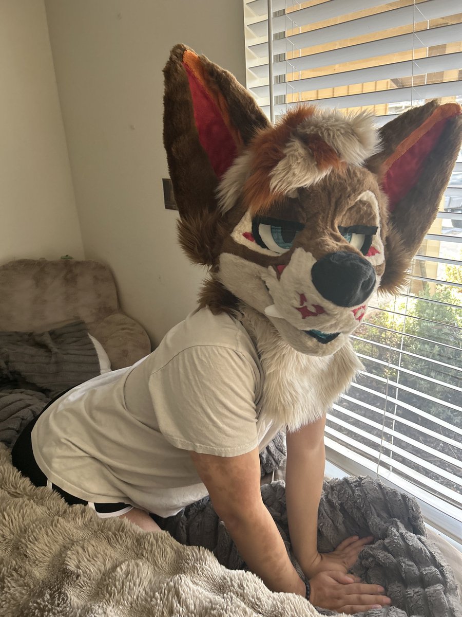 Leuko 🔜 LVFC, FWA tweet media