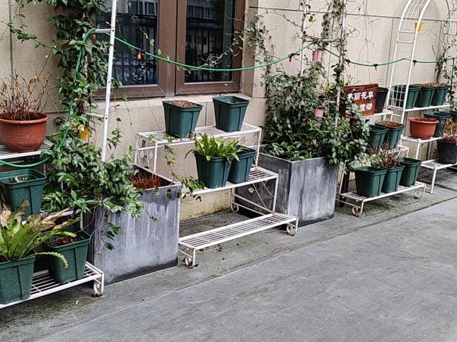 joel manrique tweet media