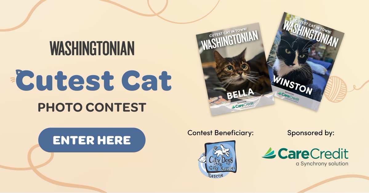 Washingtonian 🌸 tweet media