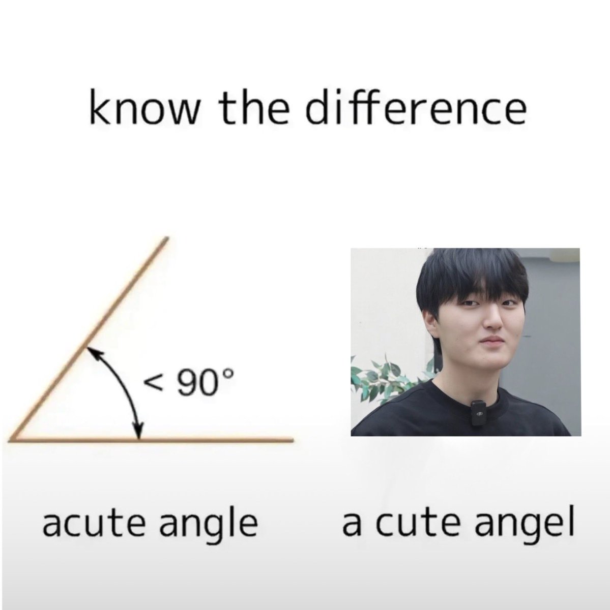 daifukukon tweet media