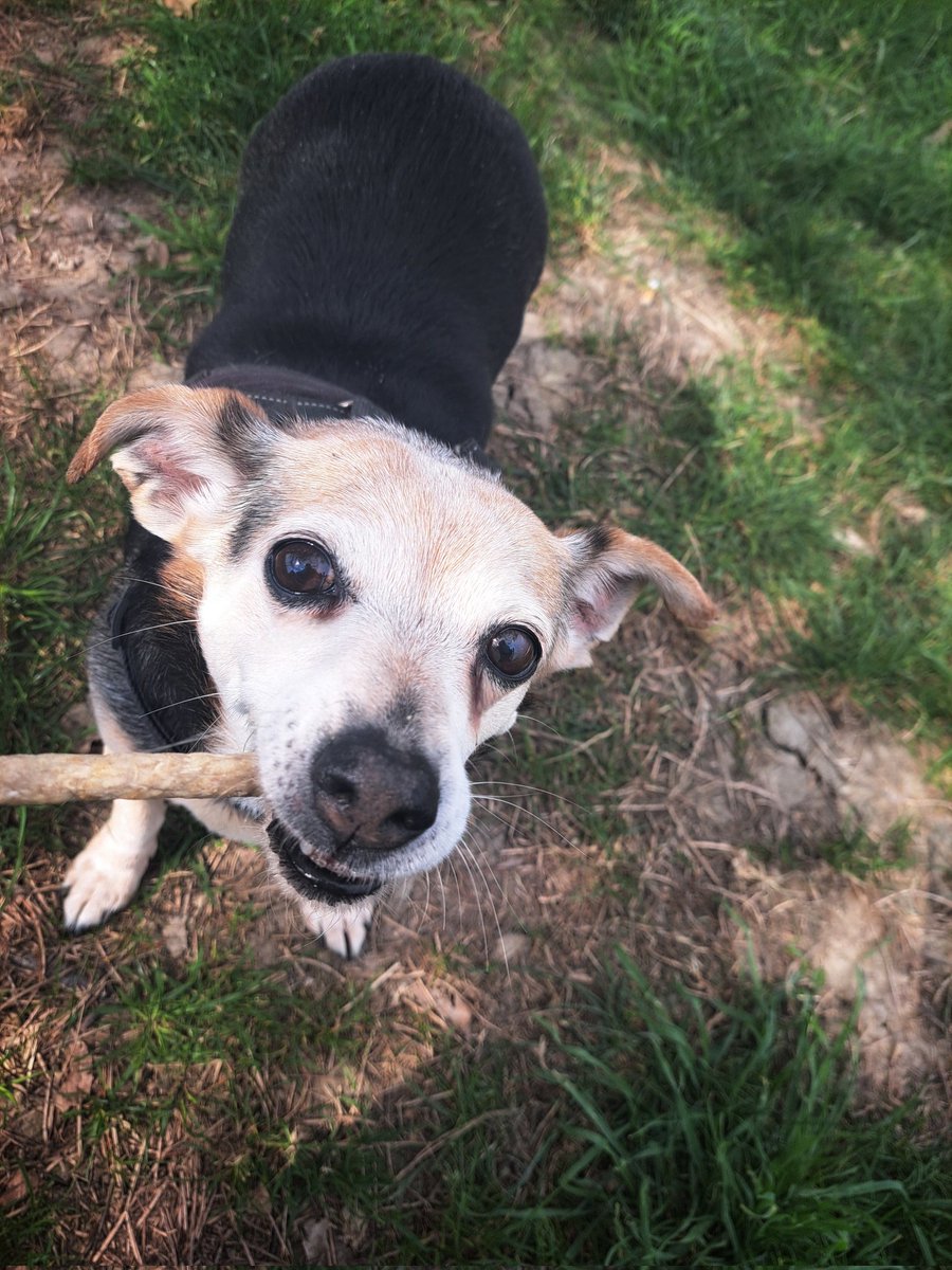 C1-QB8 | cubotta tweet media