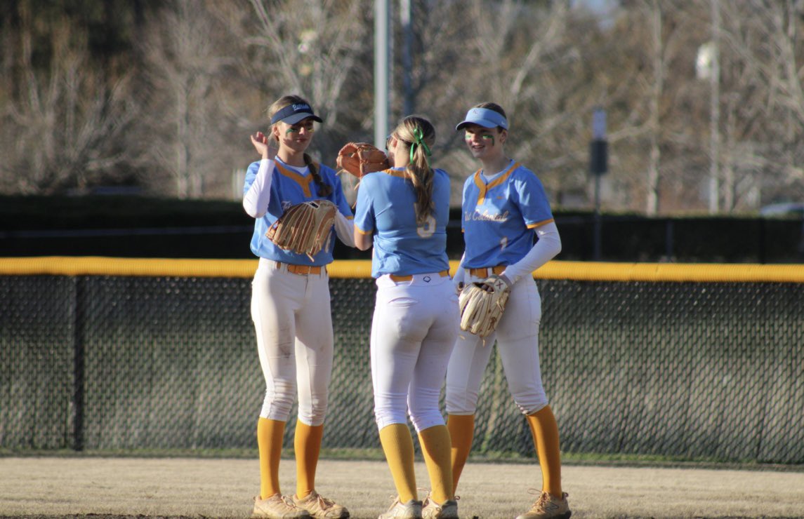 MJ Haesler tweet media