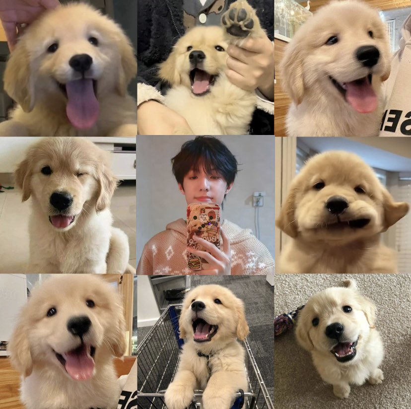 ไหนเป่า ? 🐶