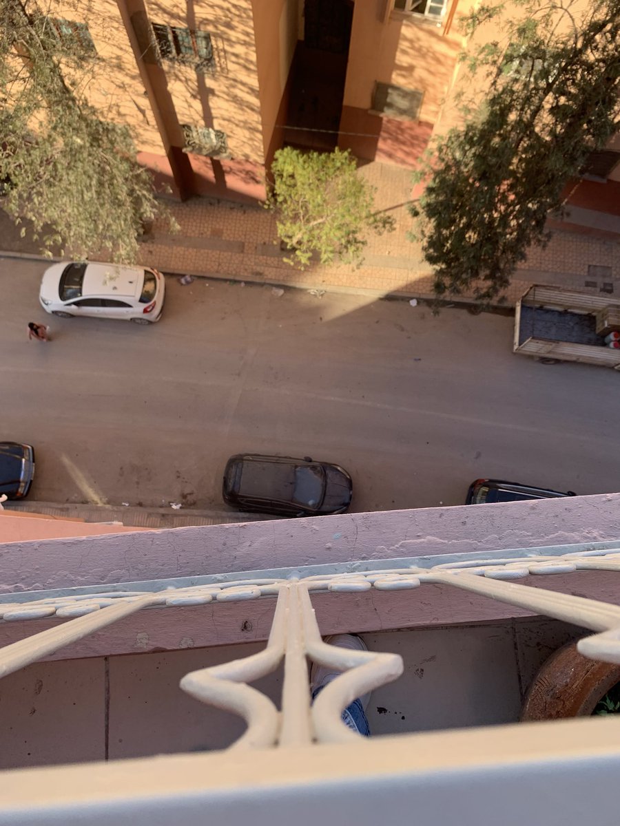 мιzι ♡◡. σƒ ѕнтωт ⊹ tweet media