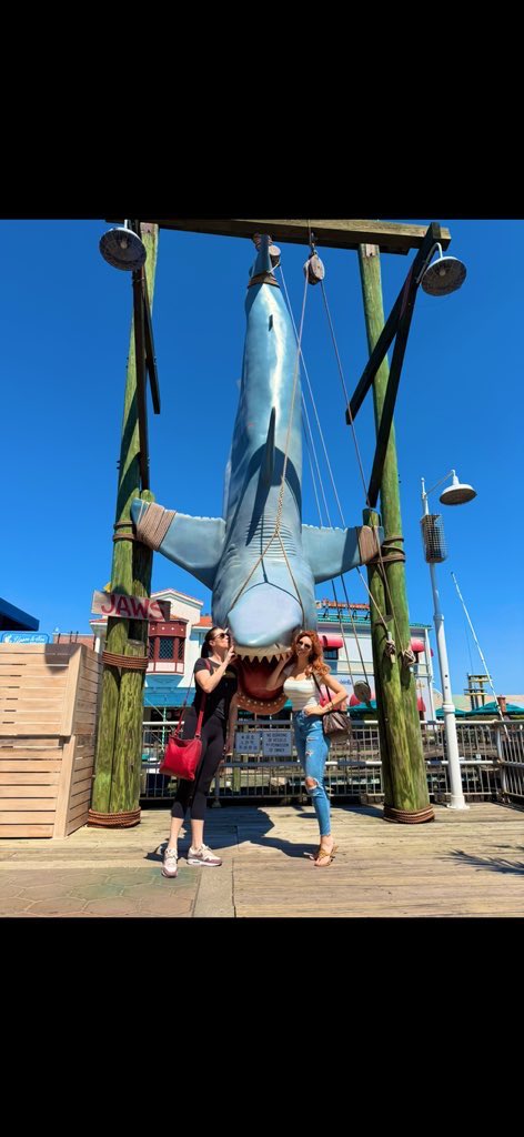 Natalie Smith 💚👩🏻🦰🦋 tweet media