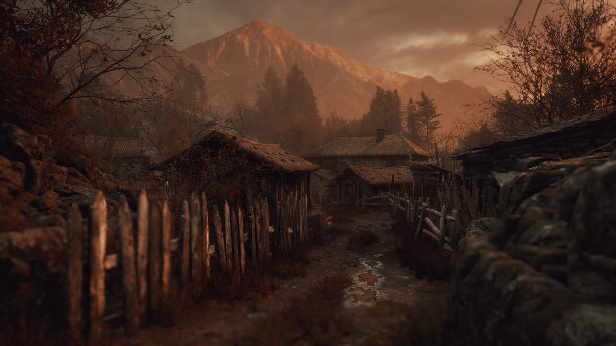 Ari 📷 tweet media