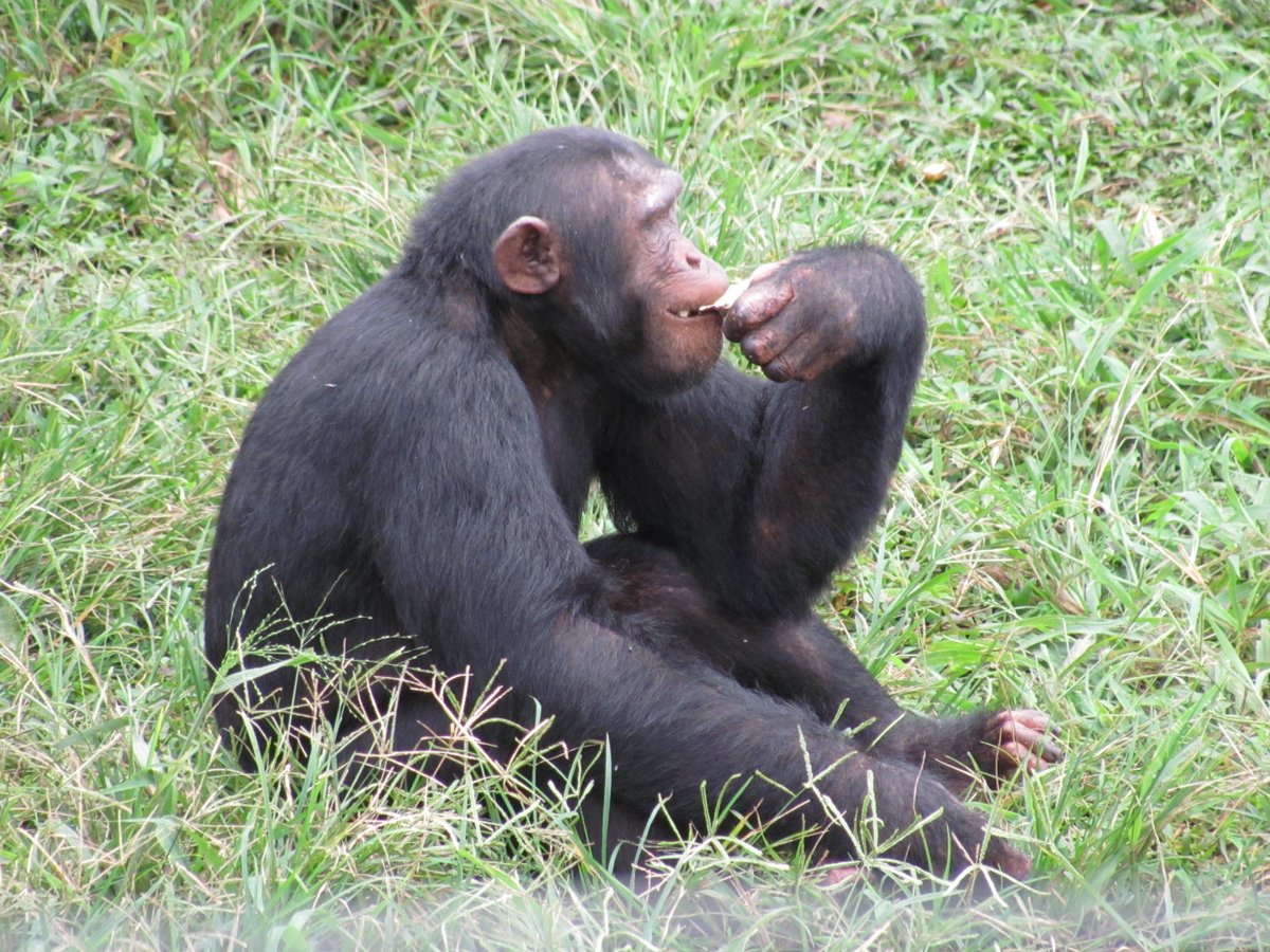 Shuaa Safaris Limited tweet media