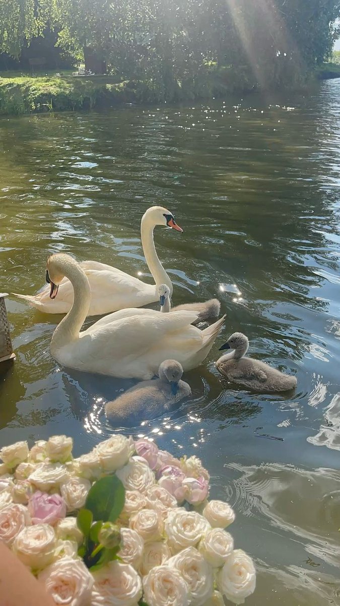 𝒍𝒖𝒏𝒂 tweet media