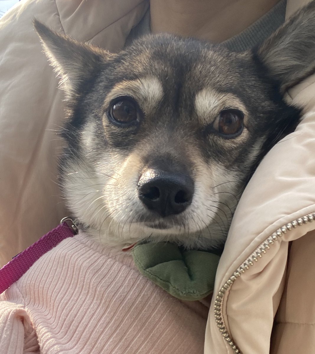 𝕏 리쭈 𝕏 tweet media