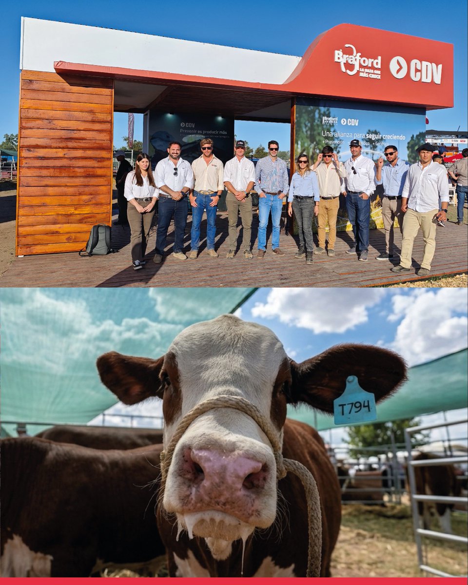 Laboratorio CDV tweet media