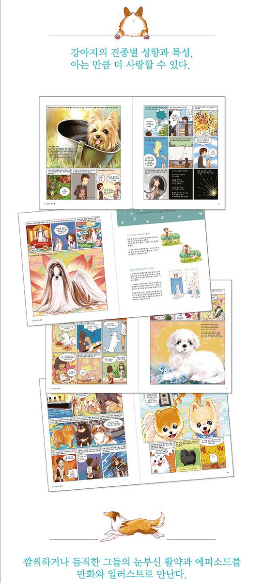 키렐🐈‍⬛ tweet media