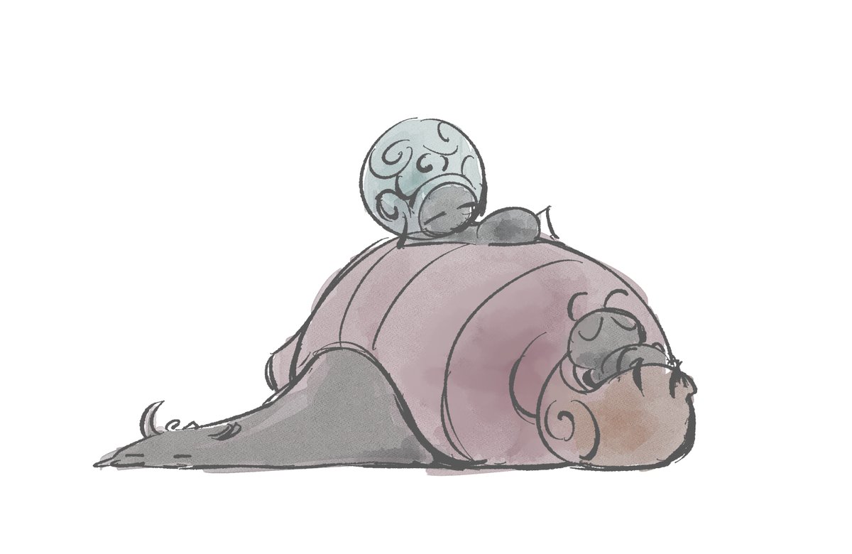 琴叶珊瑚虫 tweet media