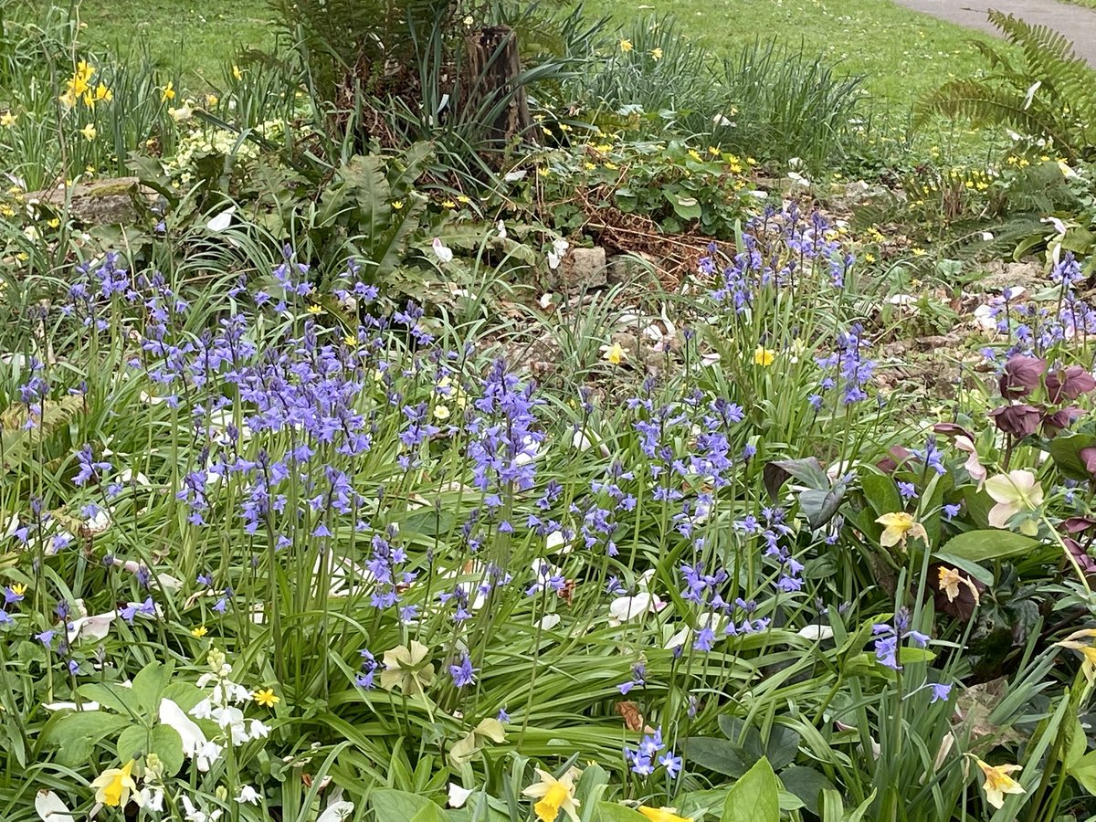 Sheila Provins tweet media