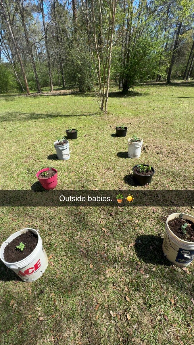 Queen Bee 👸🏻🐝 tweet media