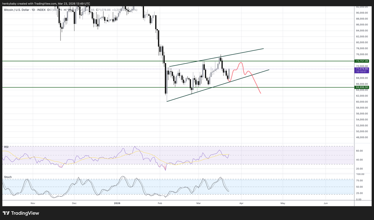 HTL-NL 🇳🇱 tweet media