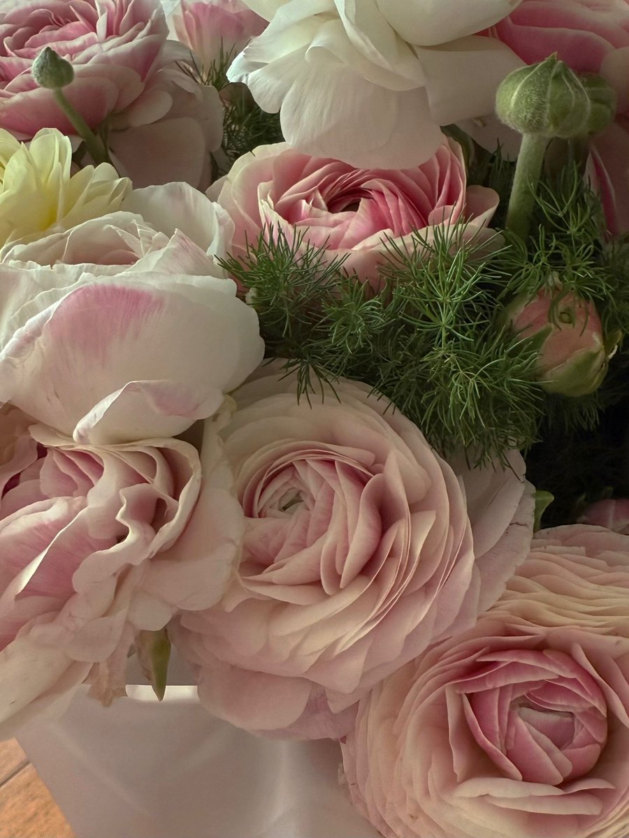 Indy Arden tweet media